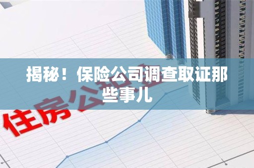 松溪揭秘！保险公司调查取证那些事儿