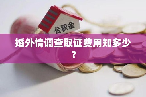松溪婚外情调查取证费用知多少？