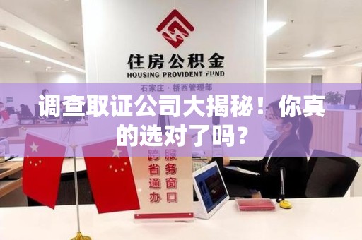 松溪调查取证公司大揭秘！你真的选对了吗？