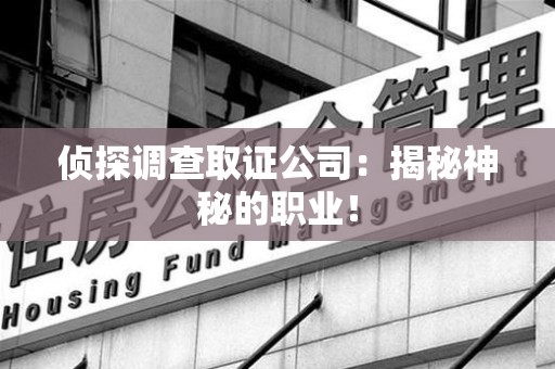 松溪侦探调查取证公司：揭秘神秘的职业！