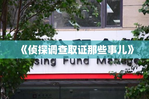 松溪《侦探调查取证那些事儿》