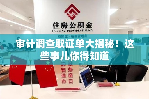 松溪审计调查取证单大揭秘！这些事儿你得知道