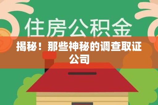 松溪揭秘！那些神秘的调查取证公司