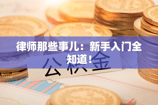 松溪律师那些事儿：新手入门全知道！
