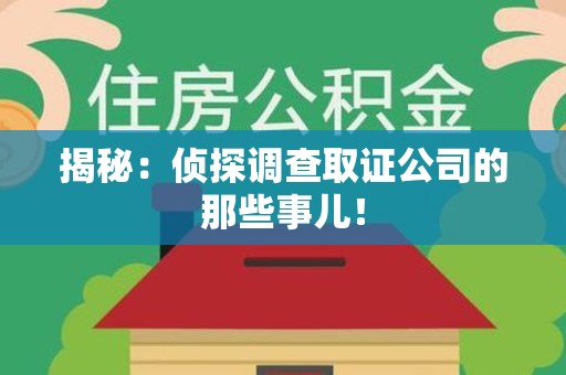 松溪揭秘：侦探调查取证公司的那些事儿！