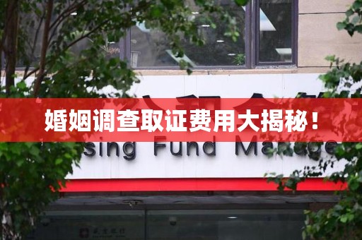 松溪婚姻调查取证费用大揭秘！