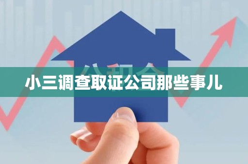 松溪小三调查取证公司那些事儿