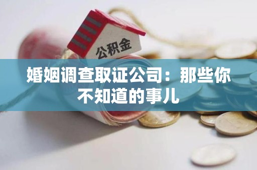 松溪婚姻调查取证公司：那些你不知道的事儿