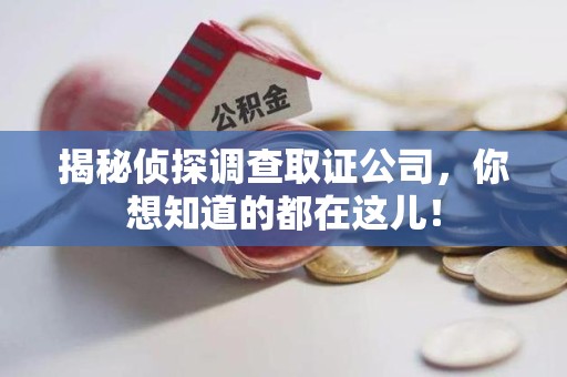 松溪揭秘侦探调查取证公司，你想知道的都在这儿！