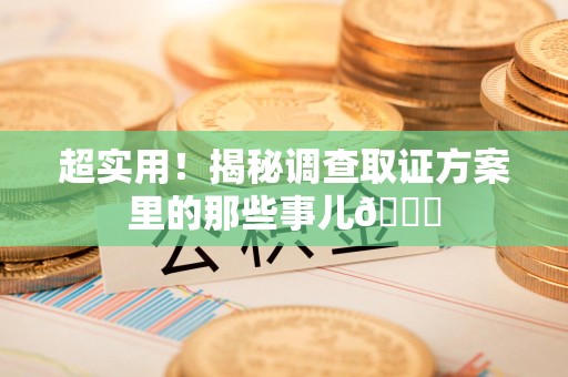 松溪超实用！揭秘调查取证方案里的那些事儿😎