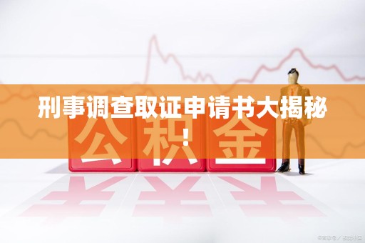 松溪刑事调查取证申请书大揭秘！