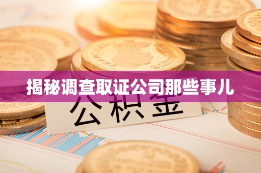 松溪揭秘调查取证公司那些事儿