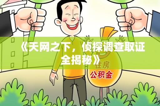 松溪《天网之下，侦探调查取证全揭秘》