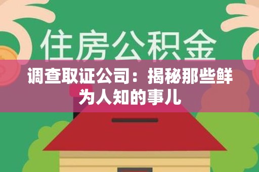 松溪调查取证公司：揭秘那些鲜为人知的事儿