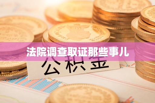 松溪法院调查取证那些事儿