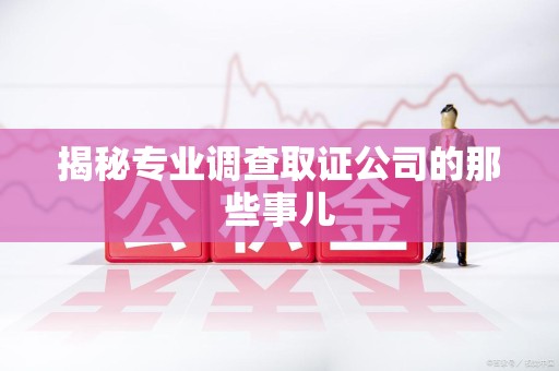 松溪揭秘专业调查取证公司的那些事儿