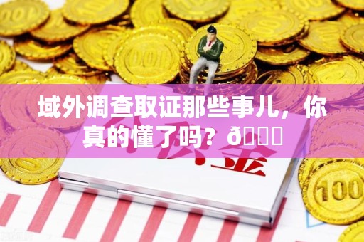 松溪域外调查取证那些事儿，你真的懂了吗？😎