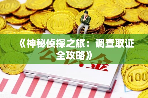 松溪《神秘侦探之旅：调查取证全攻略》