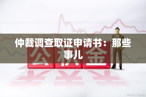松溪仲裁调查取证申请书：那些事儿