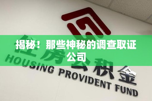 松溪揭秘！那些神秘的调查取证公司