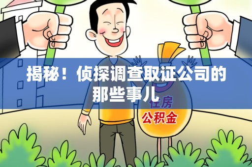 松溪揭秘！侦探调查取证公司的那些事儿