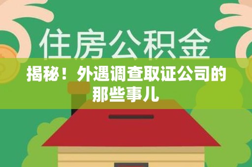 松溪揭秘！外遇调查取证公司的那些事儿