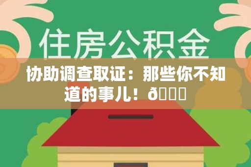 松溪协助调查取证：那些你不知道的事儿！😎