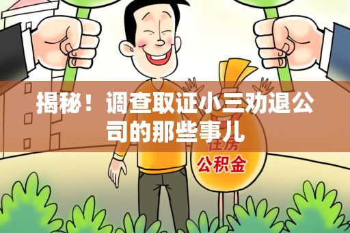 松溪揭秘！调查取证小三劝退公司的那些事儿