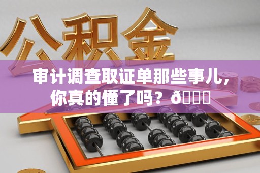 松溪审计调查取证单那些事儿，你真的懂了吗？😎