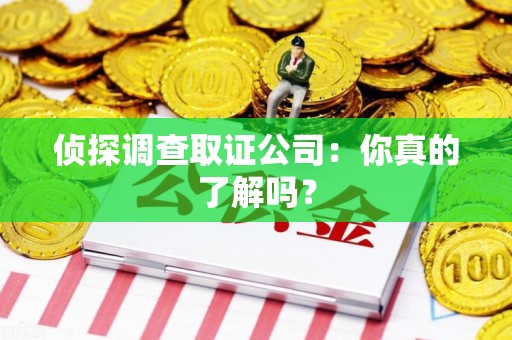 松溪侦探调查取证公司：你真的了解吗？