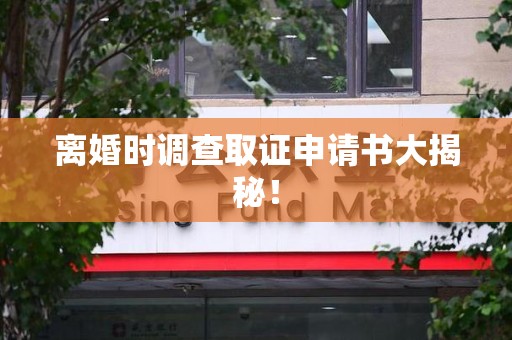 松溪离婚时调查取证申请书大揭秘！