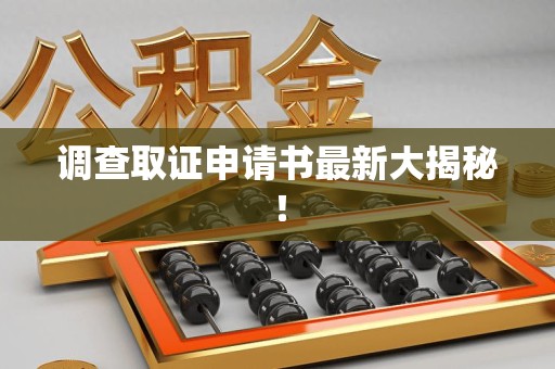 松溪调查取证申请书最新大揭秘！
